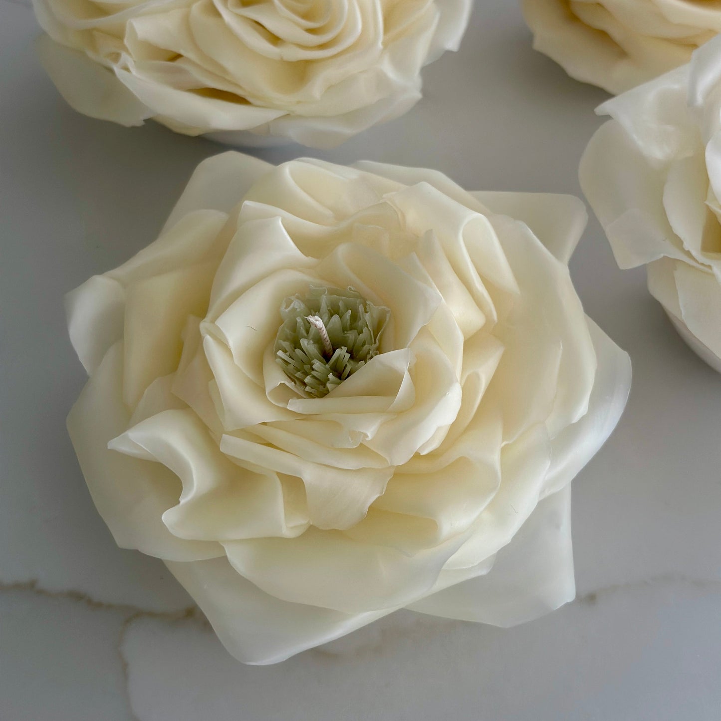 Velvet Rose