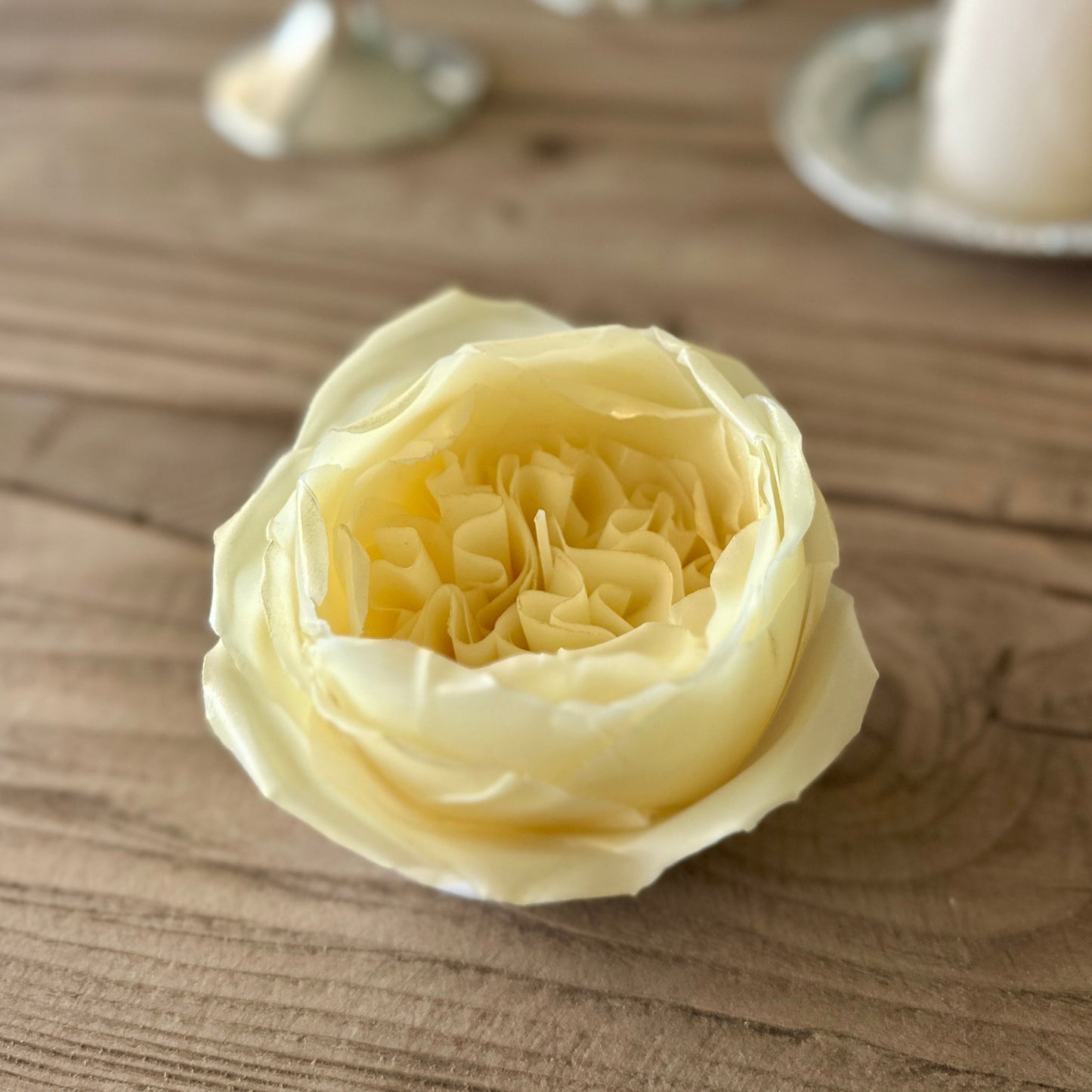 Juliet Rose