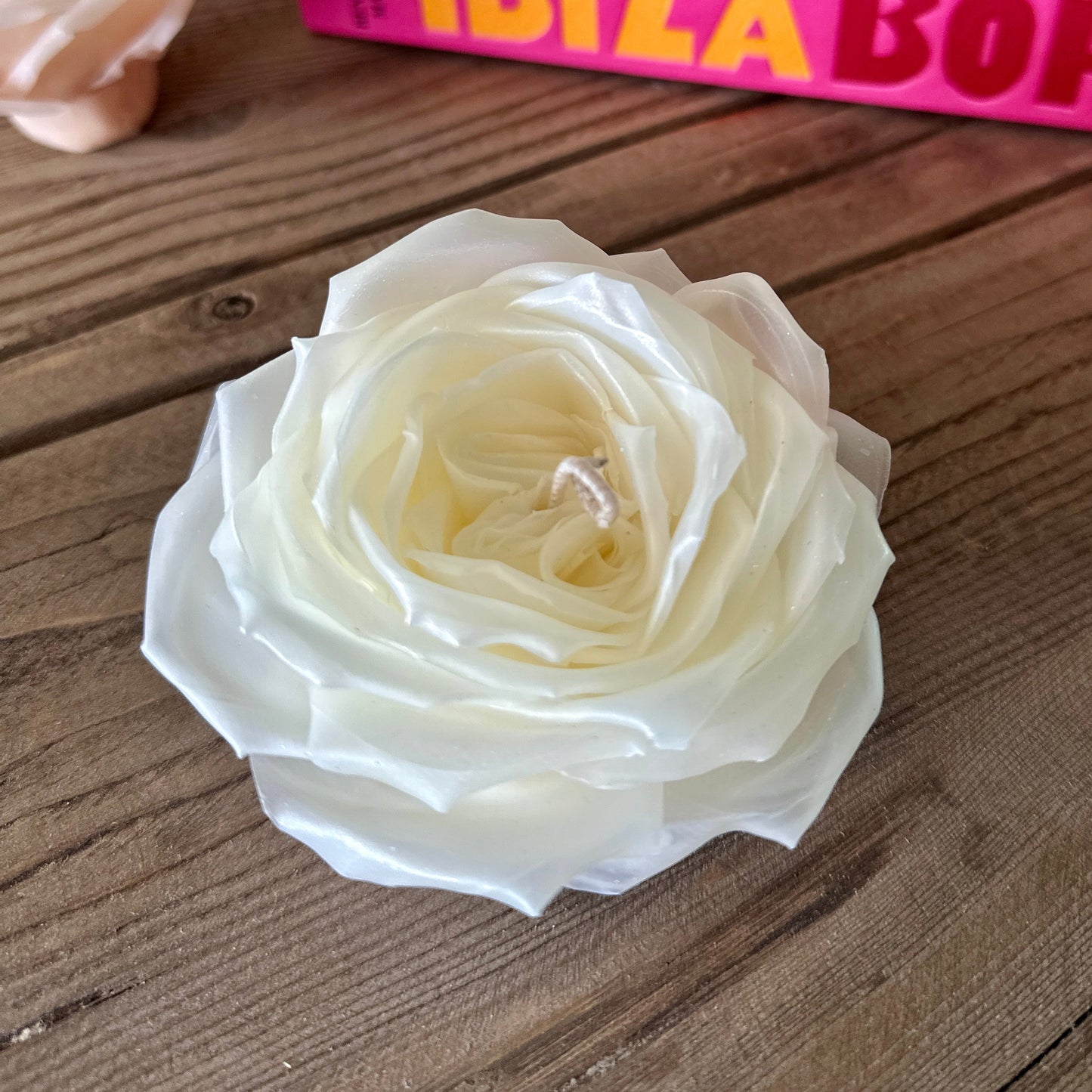 Aurora Rose