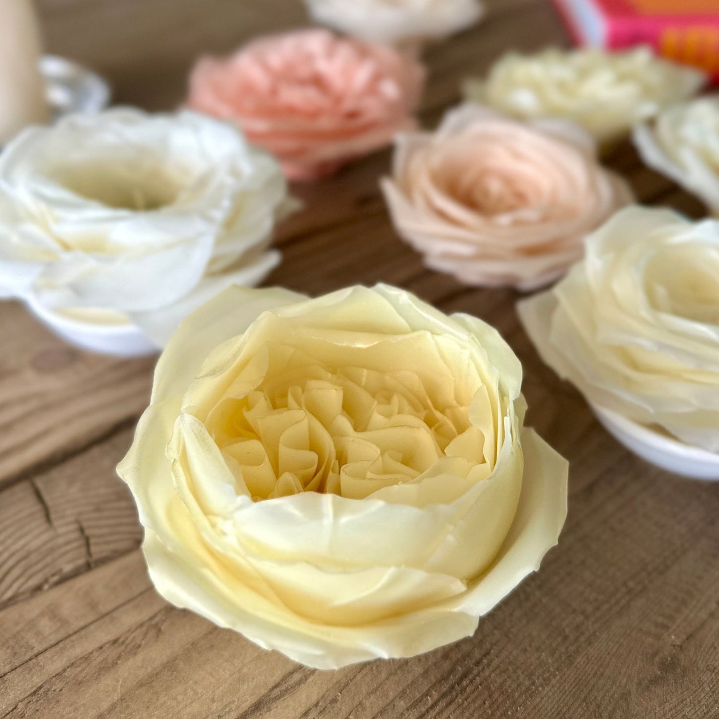Juliet Rose