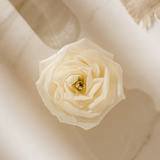 Velvet Rose