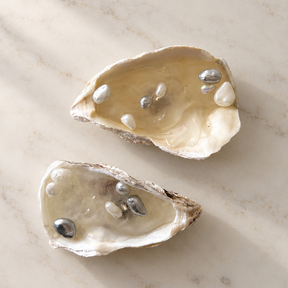 Water Oyster Candle Set