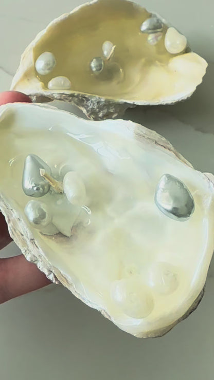 Water Oyster Candle Set